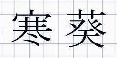 寒葵