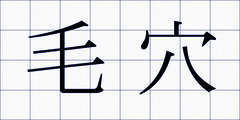 毛穴