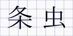 条虫