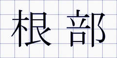 根部