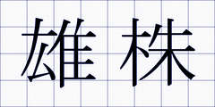 雄株