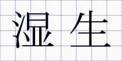 湿生