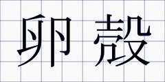 卵殻