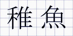 稚魚