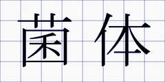 菌体