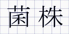 菌株