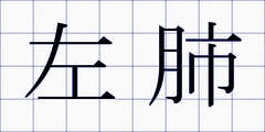 左肺