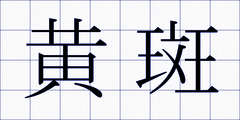 黄斑