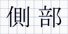側部