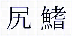 尻鰭