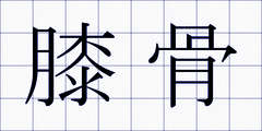 膝骨