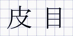 皮目