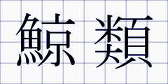 鯨類