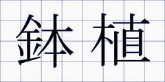 鉢植