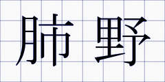 肺野