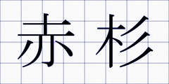 赤杉