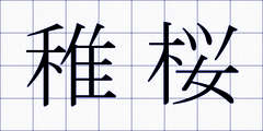 稚桜