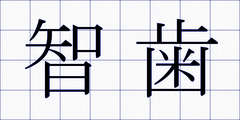 智歯