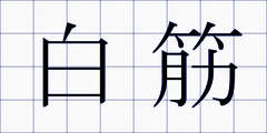 白筋
