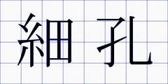 細孔