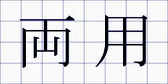 両用