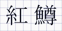 紅鱒