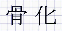 骨化