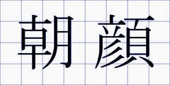 朝顔