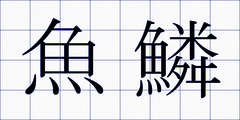 魚鱗