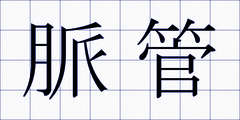 脈管