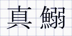 真鰯