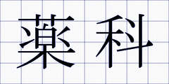 薬科