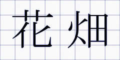 花畑