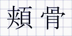 頬骨