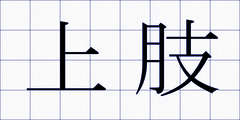 上肢