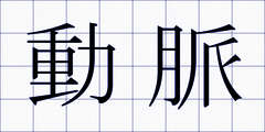 動脈