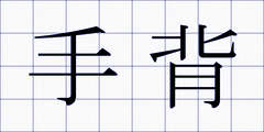手背