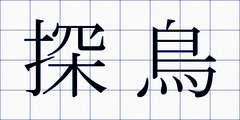 探鳥