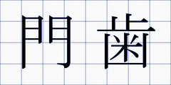 門歯