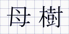 母樹