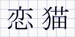恋猫