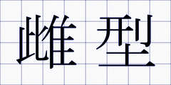 雌型