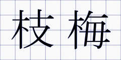 枝梅