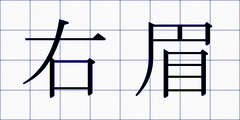 右眉