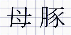 母豚