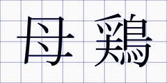 母鶏