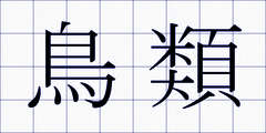 鳥類