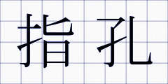 指孔