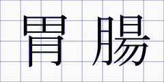 胃腸