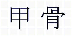 甲骨